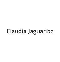 CLAUDIA JAGUARIBE_Site_Arista Plástica_Fotografia_2013